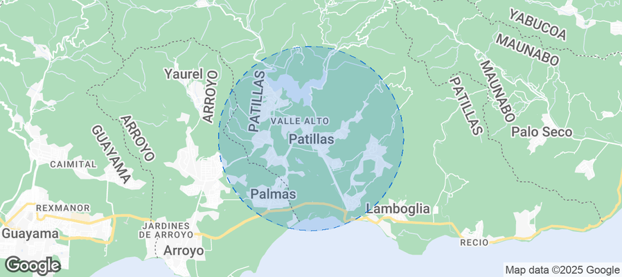 Discover Patillas Airbnb Analytics